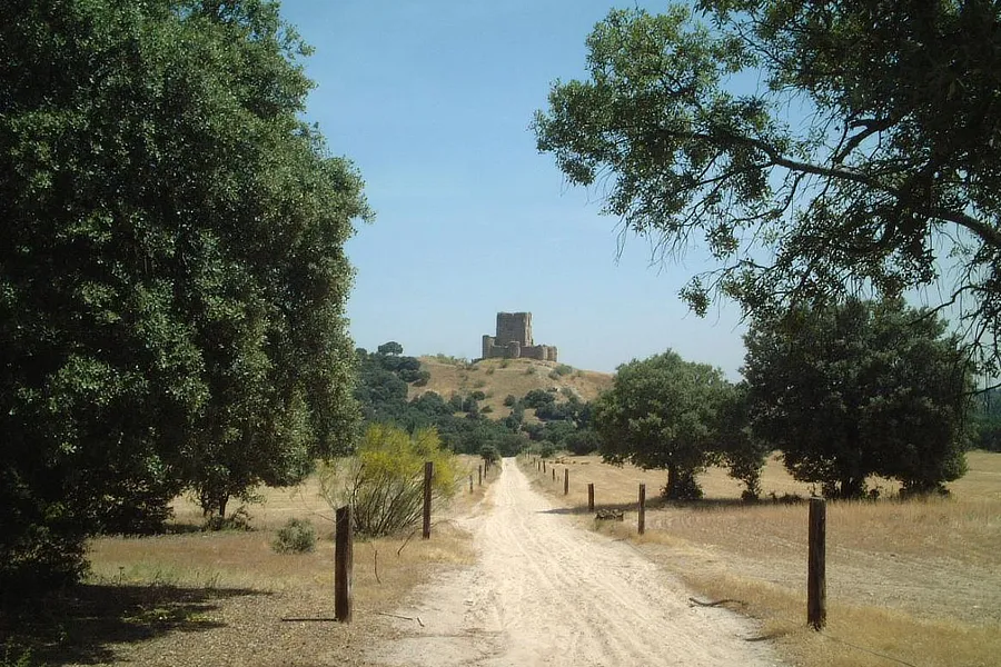 Vista de uno de los senderos del Parque Regional del Curso Medio del Río Guadarrama. El sendero conduce a las ruinas de un castillo en la cima de una colina en Boadilla del Monte. El camino está flanqueado por árboles frondosos. El castillo se destaca en el horizonte bajo un cielo despejado, creando una escena tranquila.