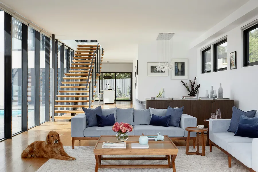 Sala de estar moderna con grandes ventanales que permiten abundante luz natural, un sofá gris con cojines azules, una mesa de café de madera, una alfombra beige y una escalera de madera flotante. Un perro está acostado en la alfombra.