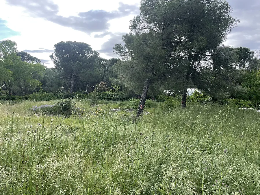 Vista del gran jardín del chalet a demoler en la parcela.