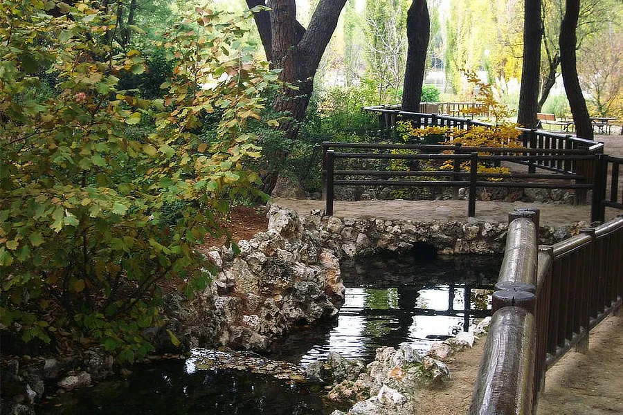 Camino peatonal y puente rústico en el Parque El Soto en Móstoles, con vegetación densa y agua cristalina. Un entorno natural perfecto para paseos y conexión con la naturaleza