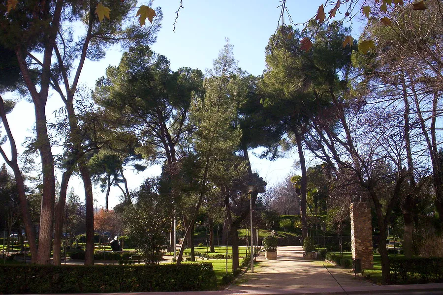 Vista del Parque O'Donnell en Alcalá de Henares. Se observan altos pinos y otros árboles que proporcionan sombra. Los senderos y caminos están bien cuidados, rodeados de vegetación y césped verde, creando un ambiente tranquilo y acogedor para los visitantes.